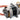 Pressure booster pump set DSS10