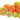 Citrus Press "Joy"