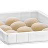 Dough container 600x400