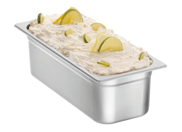 Ice cream container 5000