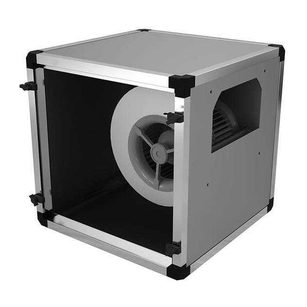 Fanlar