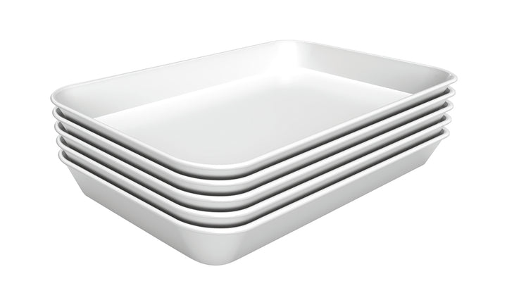 Präsentationsschale 40W-250x350