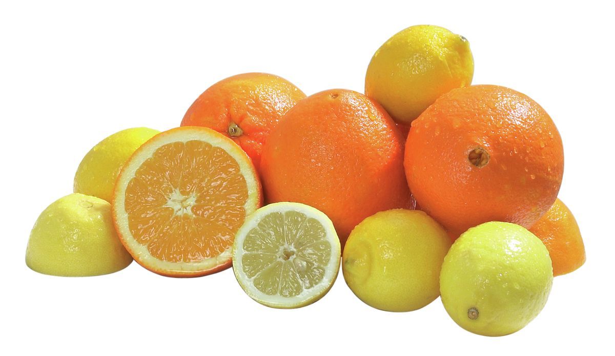 Citrus Press "Joy"