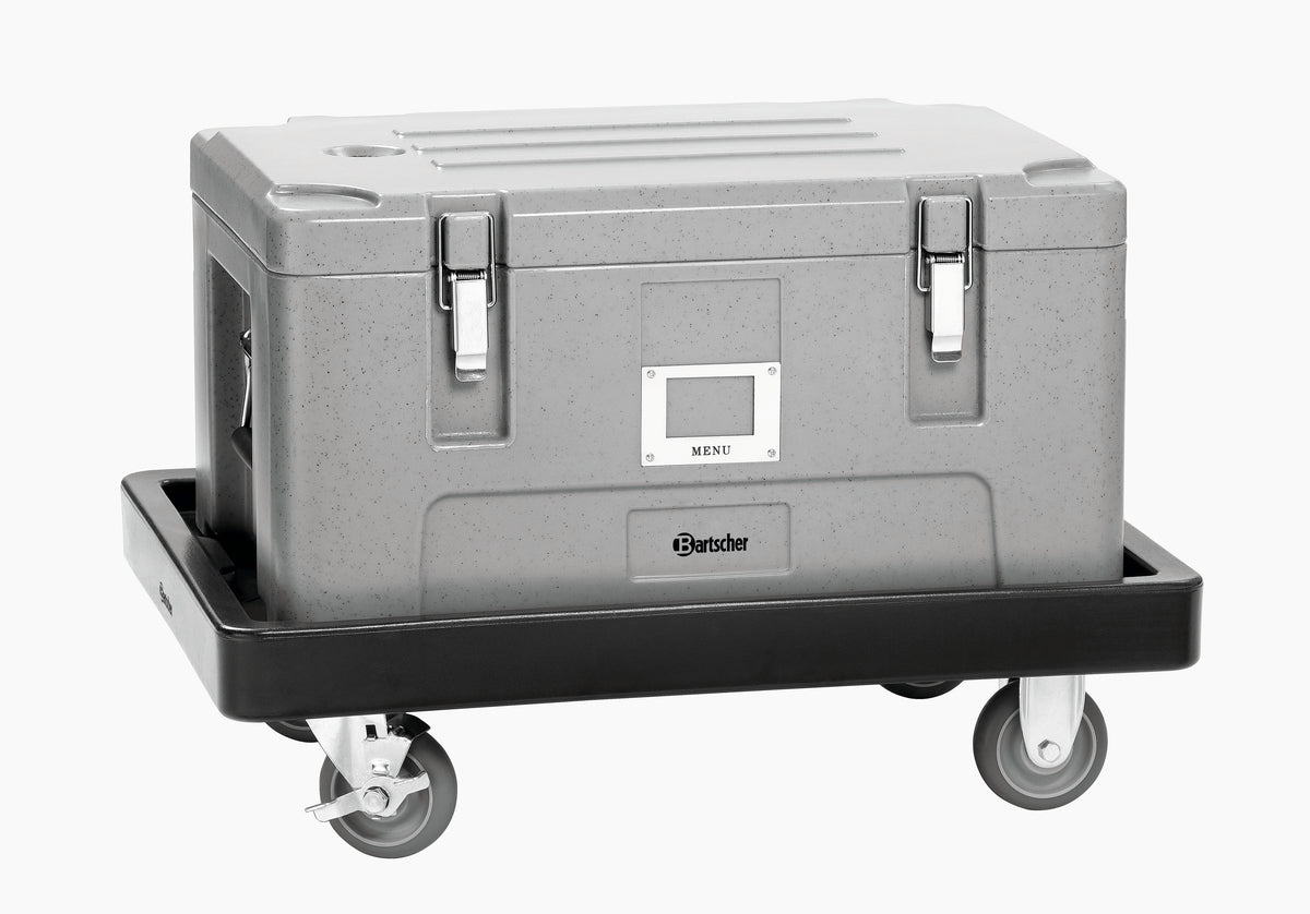 Transportwagen TBGN110