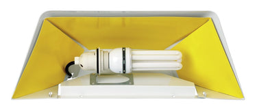 Insect trap IF-92
