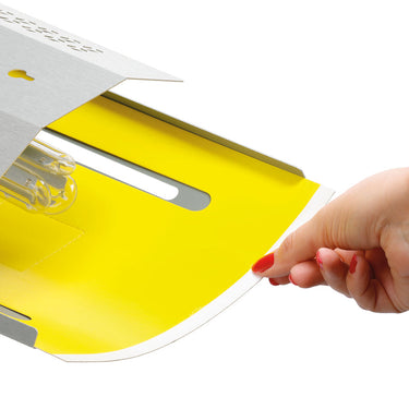 Insect trap IF-50