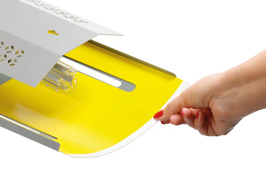 Insect trap IF-50
