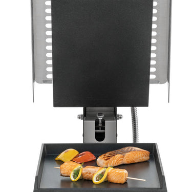 Kontak grill DT 2000 1G