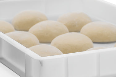 Dough container 600x400