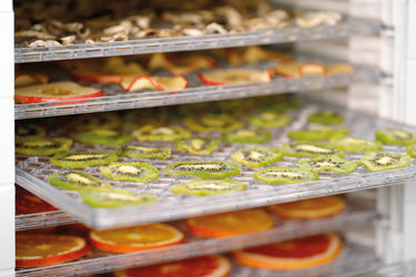 Dehydrator 120